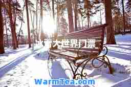 冰雪大世界门票