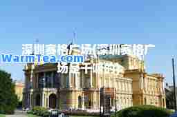 深圳赛格广场(深圳赛格广场是干嘛的)