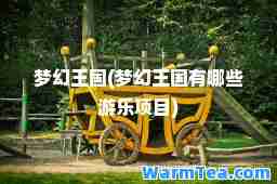 梦幻王国(梦幻王国有哪些游乐项目)