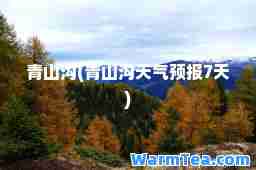 青山沟(青山沟天气预报7天)
