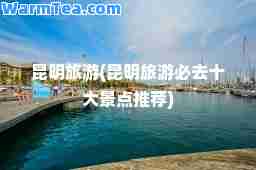 昆明旅游(昆明旅游必去十大景点)