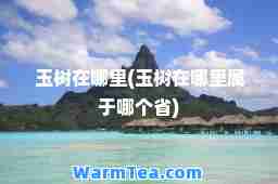 玉树在哪里(玉树在哪里属于哪个省)