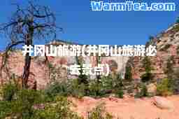 井冈山旅游(井冈山旅游必去景点)