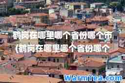 鹤岗在哪里哪个省份哪个市(鹤岗在哪里哪个省份哪个市)