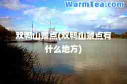 双鸭山景点(双鸭山景点有什么地方)