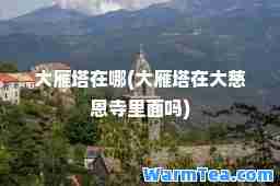 大雁塔在哪(大雁塔在大慈恩寺里面吗)