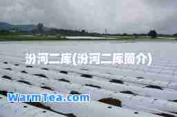 汾河二库(汾河二库简介)