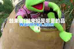 蛙来哒(蛙来哒是哪里的品牌)