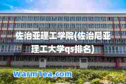 佐治亚理工学院(佐治尼亚理工大学qs排名)