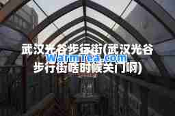 武汉光谷步行街(武汉光谷步行街啥时候关门啊)