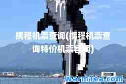 携程机票查询(携程机票查询特价机票官网)