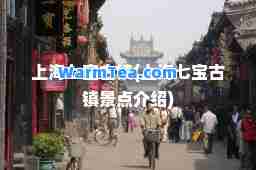 上海七宝古镇(上海七宝古镇景点介绍)
