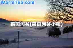 莱茵河谷(莱茵河谷小镇)