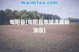 旬阳县(旬阳县李瑞清消息)
