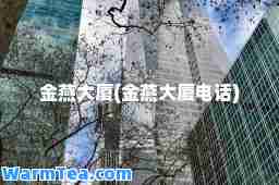 金燕大厦(金燕大厦电话)