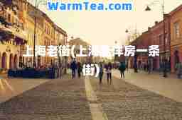 上海老街(上海老洋房一条街)