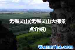 无锡灵山(无锡灵山大佛景点介绍) 无锡灵山(无锡灵山大佛景点介绍)