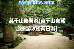 莫干山自驾游(莫干山自驾游旅游攻略两日游)