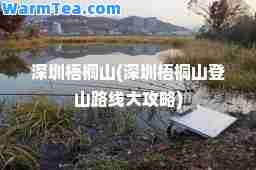 深圳梧桐山(深圳梧桐山登山路线大攻略)