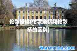 伦敦塔桥(伦敦塔桥和伦敦桥的区别)