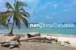 nanya