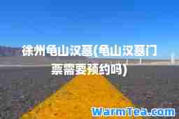 徐州龟山汉墓(龟山汉墓门票需要预约吗)