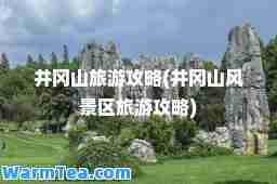 井冈山旅游攻略(井冈山风景区旅游攻略)