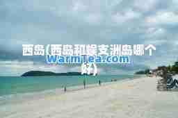 西岛(西岛和蜈支洲岛哪个好)