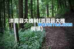 洪洞县大槐树(洪洞县大槐树镇)