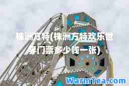 株洲方特(株洲方特欢乐世界门票多少钱一张)