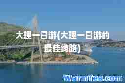 大理一日游(大理一日游的线路)