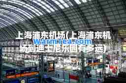 上海浦东机场(上海浦东机场到迪士尼乐园有多远)