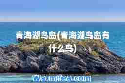 青海湖鸟岛(青海湖鸟岛有什么鸟)