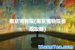 南京博物院(南京博物院参观攻略)