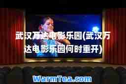 武汉万达电影乐园(武汉万达电影乐园何时重开)