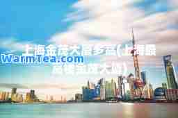 上海金茂大厦多高(上海最高楼金茂大厦)
