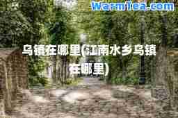 乌镇在哪里(江南水乡乌镇在哪里)