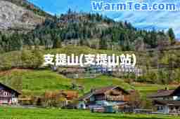 支提山(支提山站)