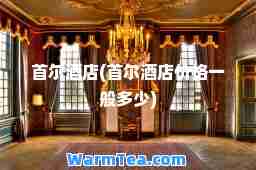 首尔酒店(首尔酒店价格一般多少)
