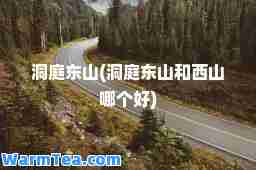 洞庭东山(洞庭东山和西山哪个好)