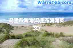 马里布海滩(马里布海滩英文)
