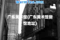 广东美术馆(广东美术馆新馆地址)