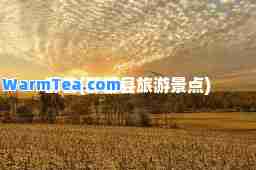 鄯善(鄯善县旅游景点)
