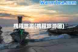 携程旅游(携程旅游团)