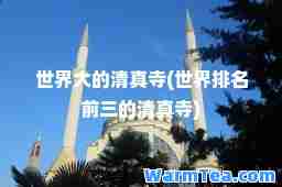 世界大的寺(世界排名前三的寺)