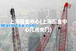上海国金中心(上海国金中心几点关门)