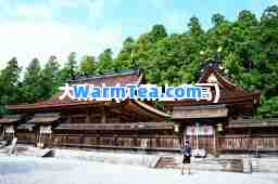 大南山(大南山多高)