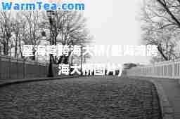 星海湾跨海大桥(星海湾跨海大桥图片) 星海湾跨海大桥(星海湾跨海大桥图片)