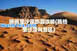腾格里沙漠旅游攻略(腾格里沙漠风景区)