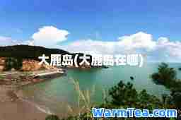 大鹿岛(大鹿岛在哪)